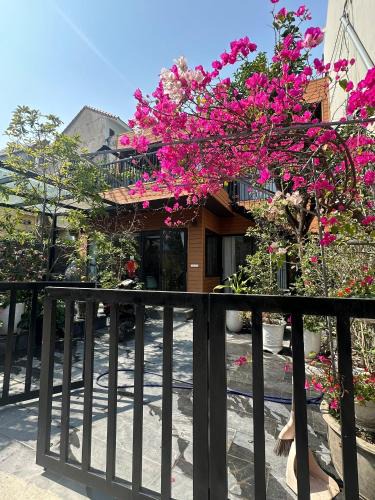 Cat Hai House | Đông Hương Home