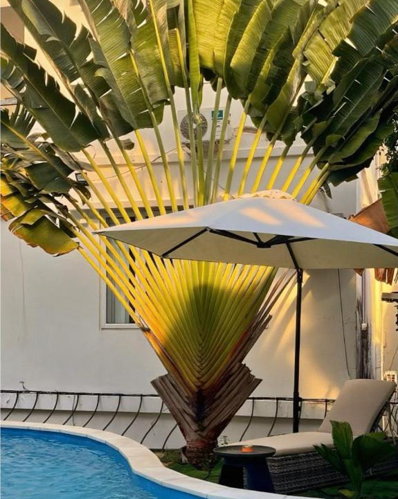 Vung Tau Villa | 5 Bedroom Villa in Vung Tau- Biệt thự 5 phòng Bãi sau- The Black & White Garden Villa