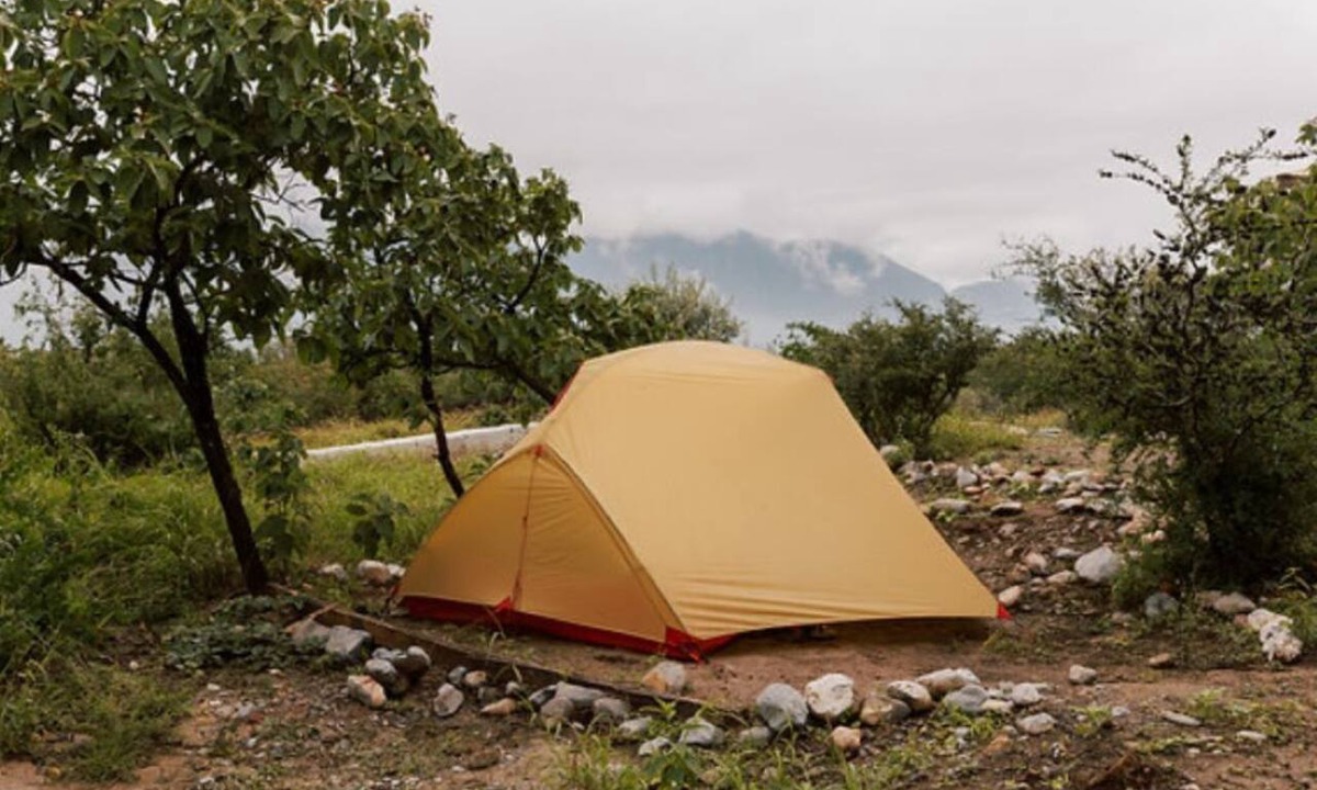 Hidalgo RV Rental | Camping Spot 4