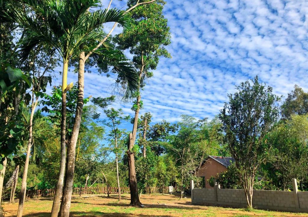 Nam Cat Tien Hotel | Cat Tien Eco Lodge & Villas