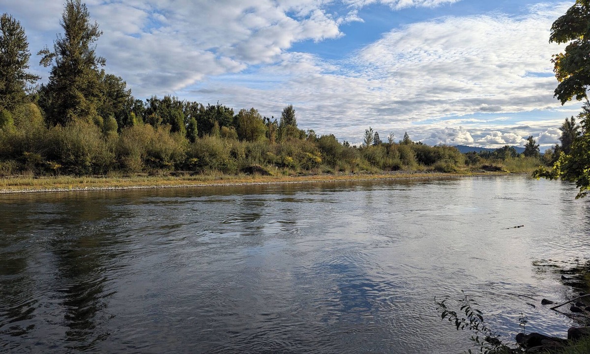 Thurston Cabin | Cozy 1-bedroom cabin, 900 sq ft on the McKenzie River in Springfield, Oregon