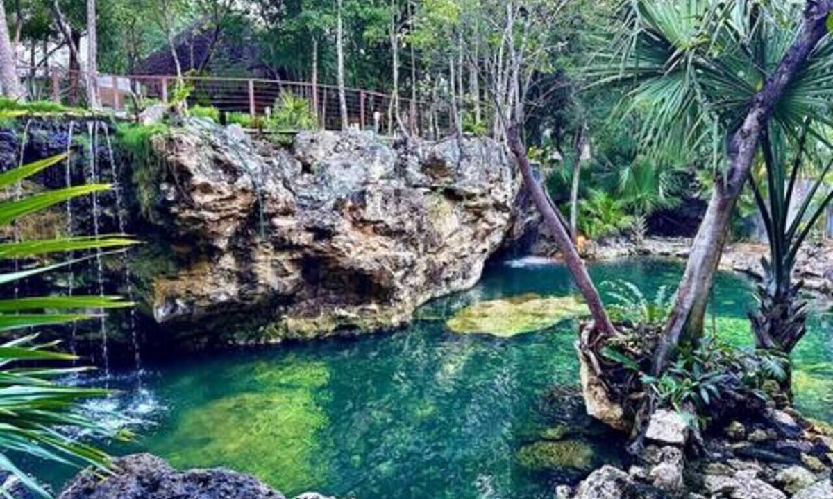 Playa del Carmen House | Family Home with Patio, Shared Pool & Cenote