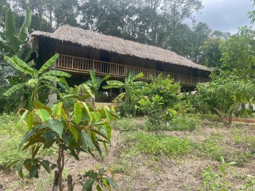 Chau Duc Other | Háo Hức Village, Suoi Rao