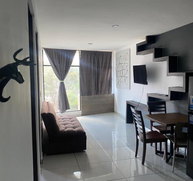 Guadalupe Apartment | Hermoso Departamento Ejecutivo 2