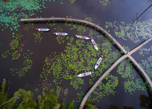 Moc Hoa Hotel | KDL Làng Nổi Tân Lập - Tan Lap Floating Village