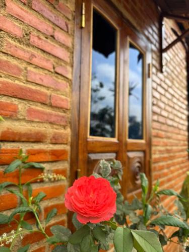 Buon Ma Thuot Apartment | Làng Êđê home's