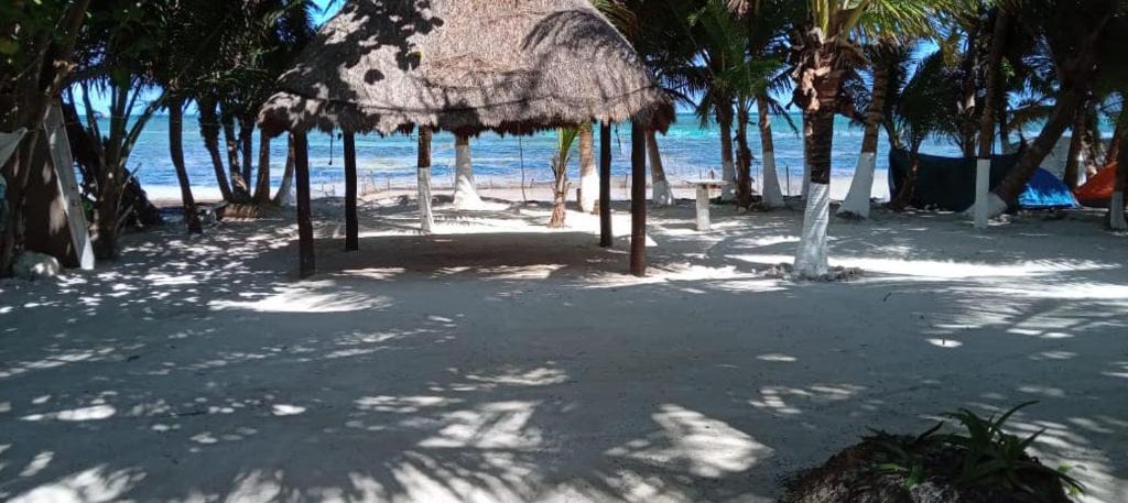 Mahahual Apartment | MAHI villas