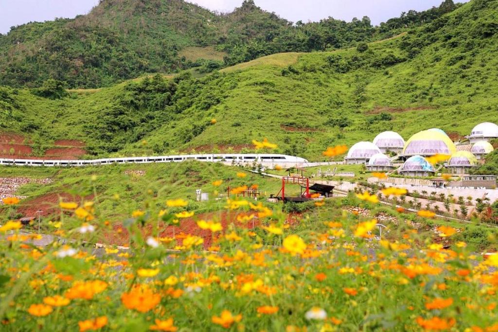 Moc Chau Hotel | Moc Chau Island - Mountain Park and Resort