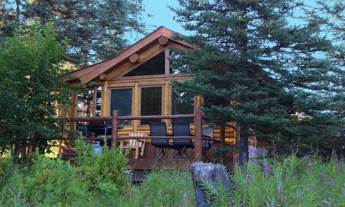 Anchor Point Cabin | Moose - Unique Alaskan log home in trees & wildflowers on 14-acre homestead.