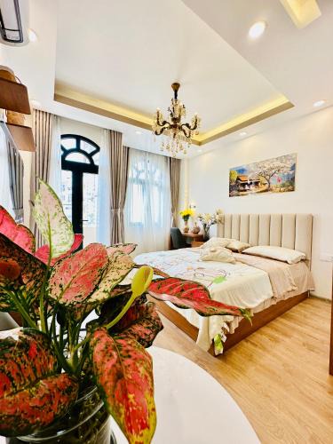 Phu Nhuan House | Myla House