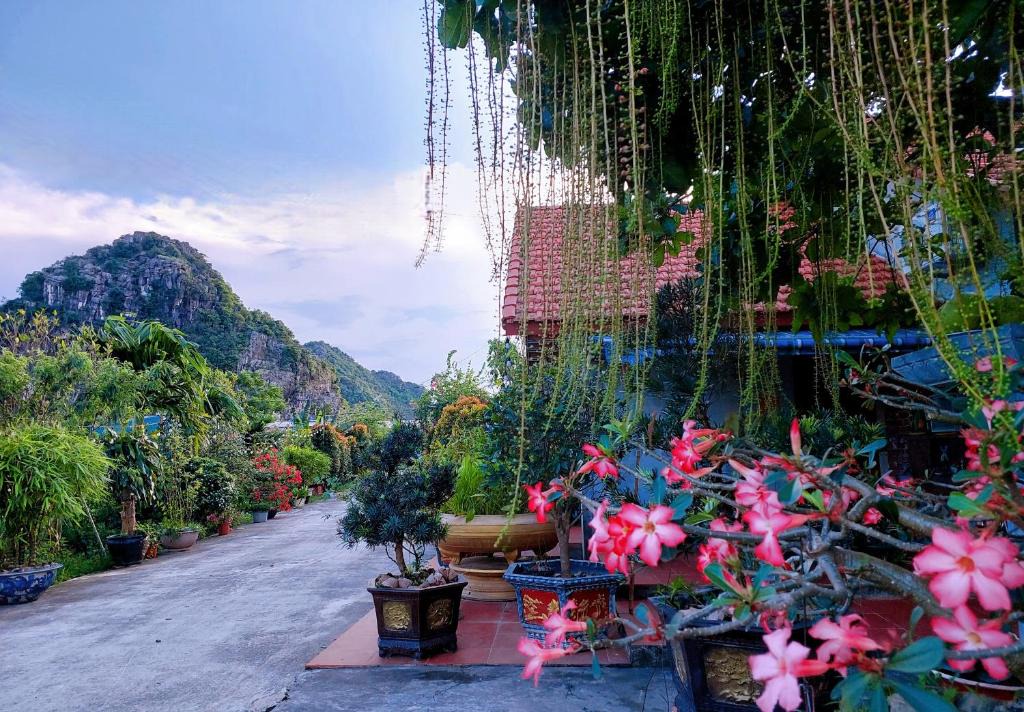 Hoa Lu Apartment | Ninh Binh Green Farmstay