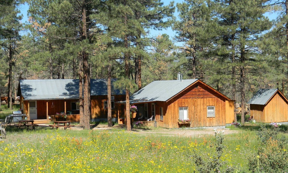 Winston Cabin | Private Ranch Experience in the Gila National Forest, New Mexico!