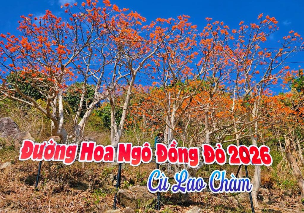 Tan Hiep House | Quỳnh s House