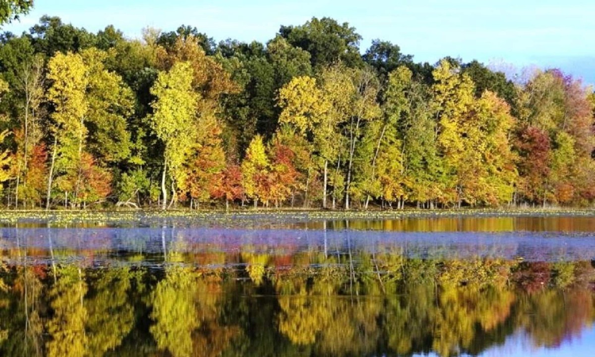 Marcellus Cabin | Rest & Relaxation