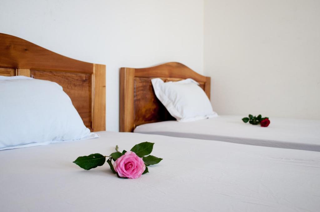 Central Mui Ne Beach Hotel | Viet's Hotel