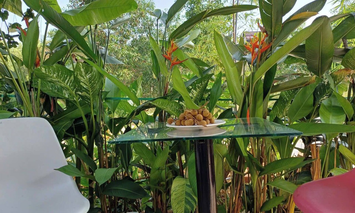 Ganh Dau Villa | VILLA GARDEN LUCKY HOME