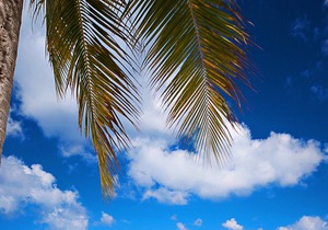 Panoramic Sea View - VISTA BONITA (Costa del Sol D4) in Cozumel