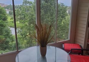 Small Lake and Golf Course Views~Dogs Ok~By Strip in Branson
