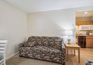 Studio Queen/Sleeper sofa with outdoor heated pool 107 in Killington