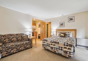 Studio Queen/Sleeper sofa with outdoor heated pool 107 in Killington