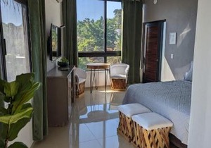 Villas Pura Chacala in Chacala