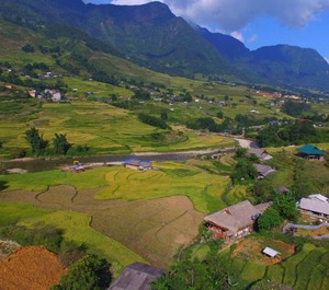Homestay 