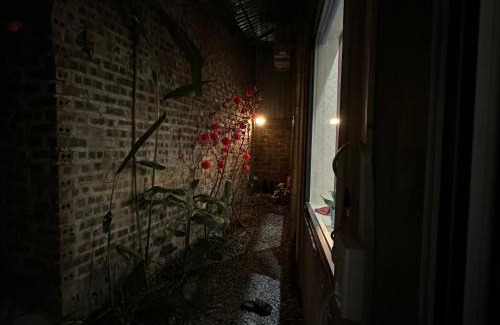 Cao Bang House | cat homestay