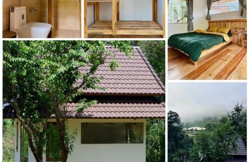 Lac Duong Cabin | Đồi Lát Homestay