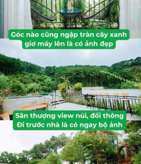 Phuc Yen House | Areca Villa Venus Resort by Flamigo Dai Lai