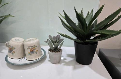An Phu Hotel | Bống's homestay and cafe