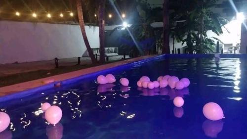 Juarez Other | Bolet