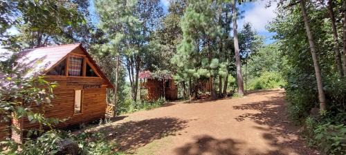 San Jose del Pacifico Ski Chalet | Cabaña en el Bosque de San José del Pacífico 4