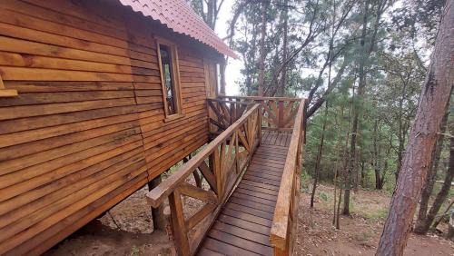 San Jose del Pacifico Ski Chalet | Cabaña en el Bosque de San José del Pacífico 4
