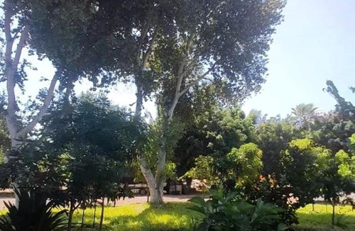 Mulege Villa | Cabanas Alaniz
