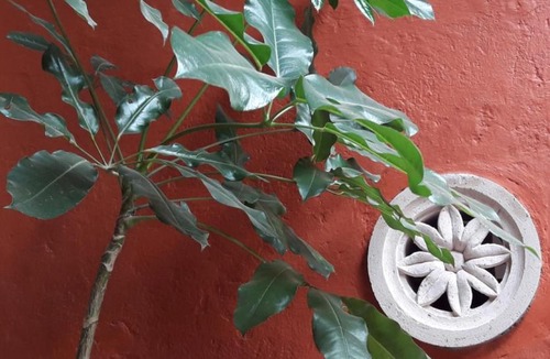 Historic Centre Hotel | Casa Cantera