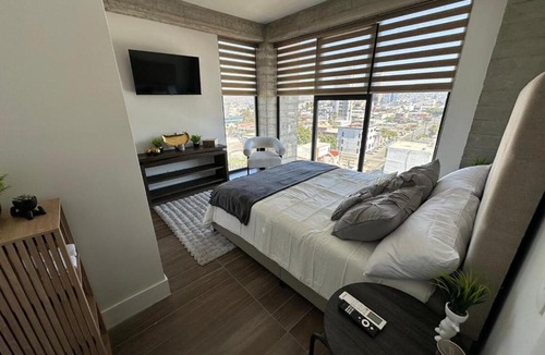Centro Apartment | Centrico Gonzalez