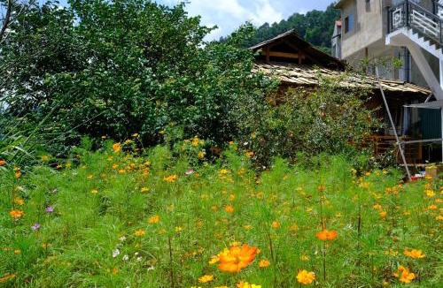 Mu Cang Chai Hotel | Chải Eco Home