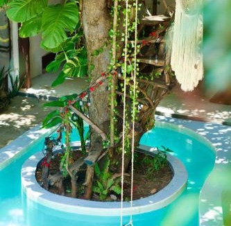 Barra de Colotepec Hotel | Chii Lú Casa de la Luna