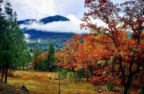 Wolf Creek House | Creekside Mountain Retreat