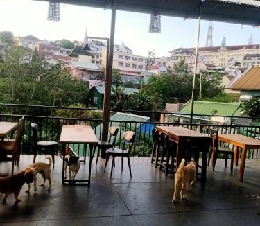 Da Lat Hotel | Dalat Inn Homestay 48 Hà Huy Tập Dalat