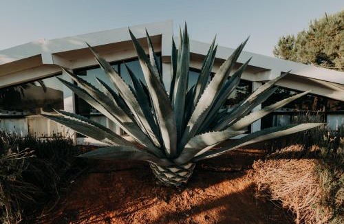 Valle de Guadalupe Hotel | DaNik Valle