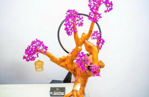 Cat Ba Hotel | Duc Duy Hotel Cat Ba
