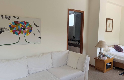 San Miguel Chapultepec Apartment | Experience the Magic of San Miguel Chapultepec! Park, cafes, and art galleries.