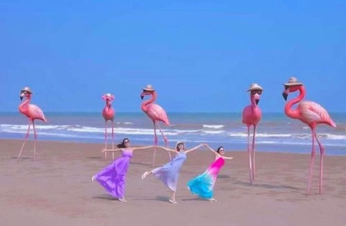 Hoang Hoa Hotel | Flamingo Hai Tien - Căn hộ 2 phòng ngủ, view quang cảnh đại dương