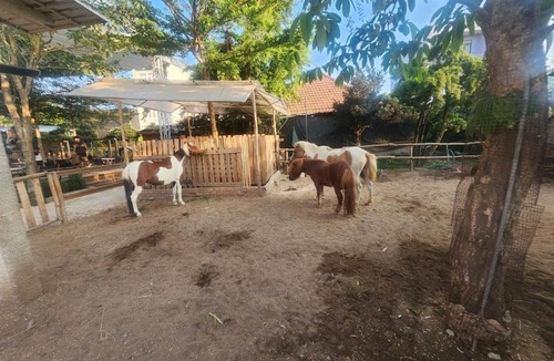 Phu My House | Global Village Farmstay