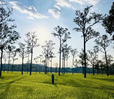 Nam Cat Tien House | Hello Sun