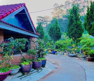 Da Lat Hotel | Hoa Chuông - Villa - Homestay Đà Lạt
