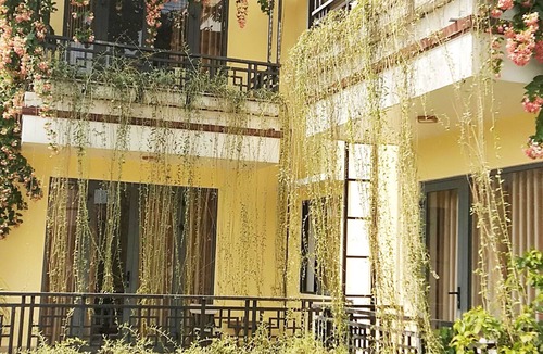 Hoi An House | Hoi An New Life Homestay & Villa