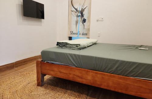 Dong Hoa Apartment | Homestay Yana Garden Phu Yen