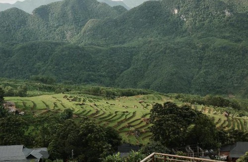 Pu Long Nature Reserve Hotel | JARDIN de PULUONG
